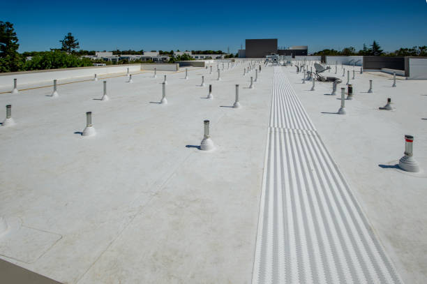 Best Metal Roofing Installation  in Runnemede, NJ